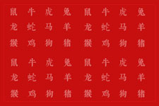 十二生肖排序