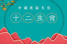 生肖配对