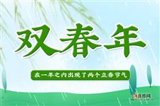 双春年什么意思